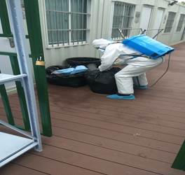 7ca71f9421b846550cf3fae5b0bd55d